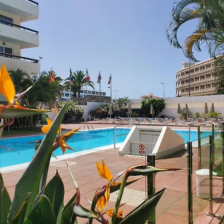 Apartamento Camelias Ci04 *